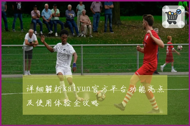 详细解析kaiyun官方平台功能亮点及使用体验全攻略
