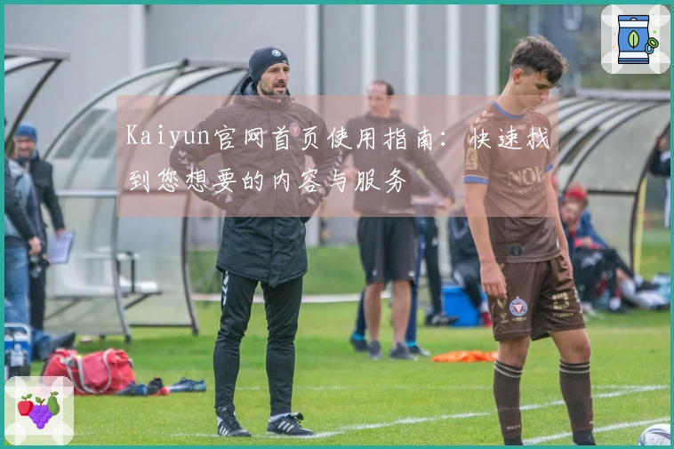 Kaiyun官网首页使用指南：快速找到您想要的内容与服务
